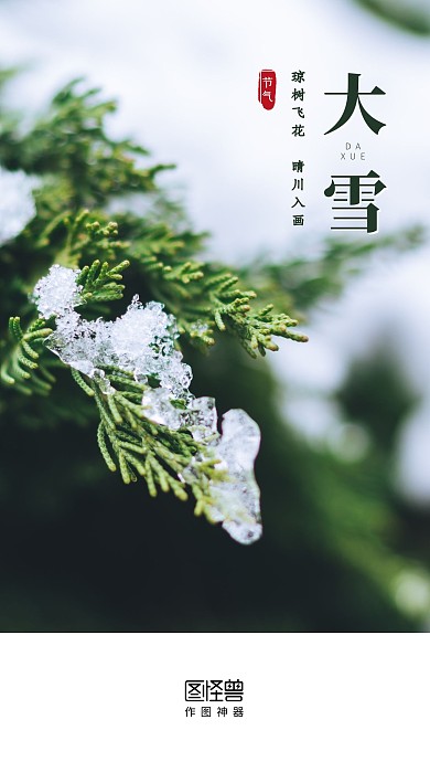 大雪节气摄影图简约启动页