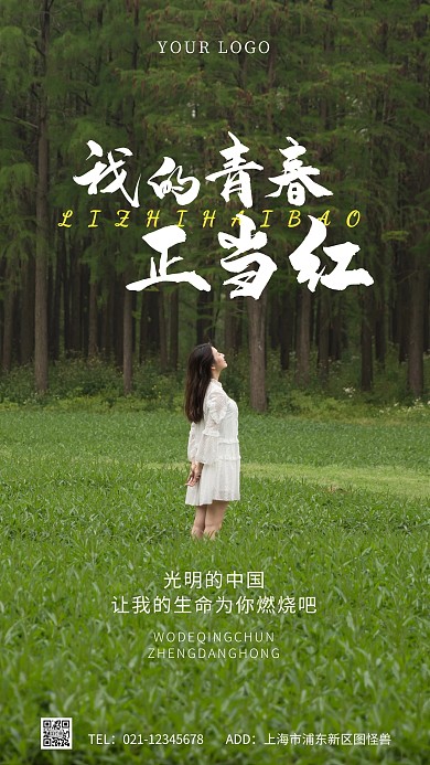 我的青春正当红简约风励志摄影图海报