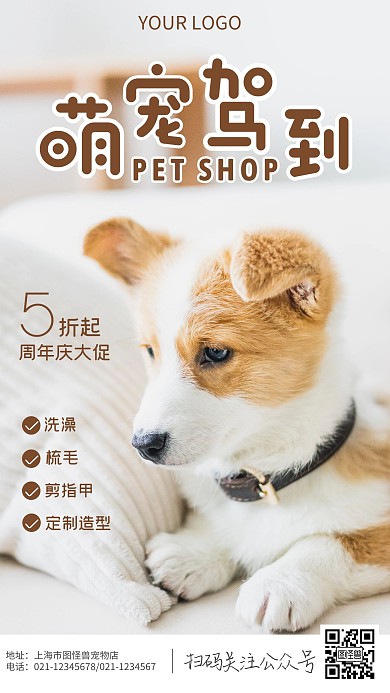 宠物店周年庆简约可爱动物小狗摄影图海报