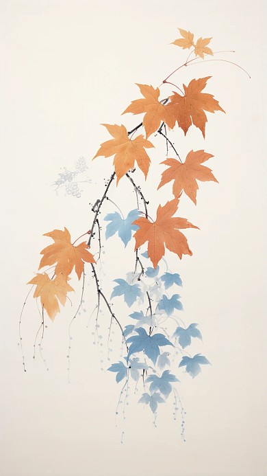 节气立秋植物插画