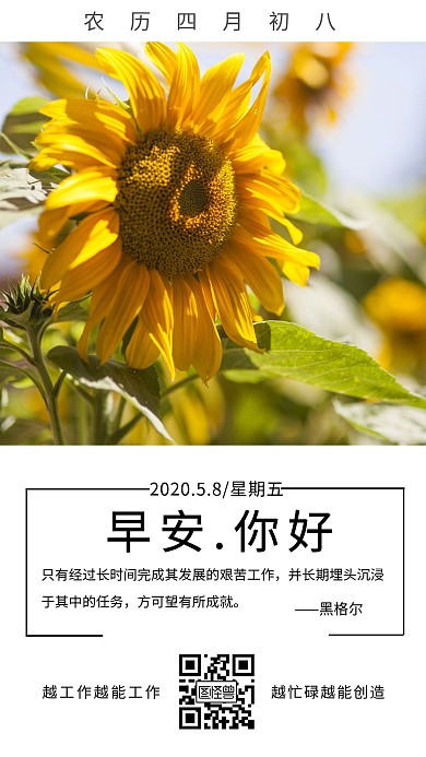 早安你好向日葵志愿正能量