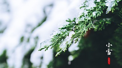 节气摄影电脑桌面壁纸