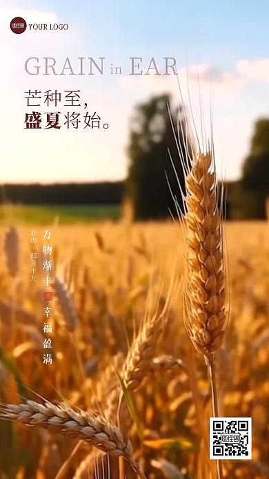 简约大气芒种节气祝福问候摄影图海报