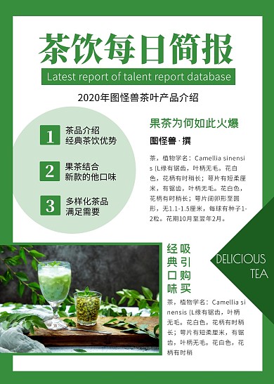 茶饮每日简报绿色简约简报