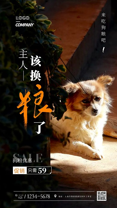 七夕狗粮促销摄影图海报