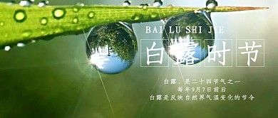 创意简约插画白露时节节气公众号封面