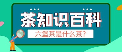 六堡茶科普绿色卡通公众号封面首图