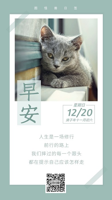 绿色简约摄影猫咪2020早安图片周末日签