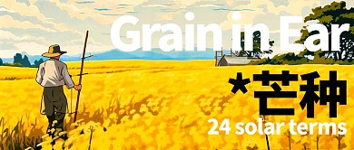 芒种节气公众号封面首图