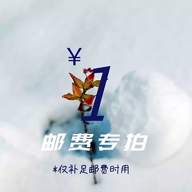 邮费专拍差价补拍链接通用主图模板