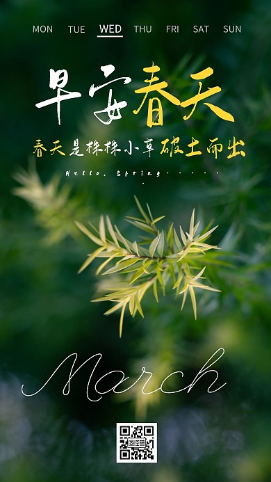 早安春天绿叶摄影风简约2021早安日签