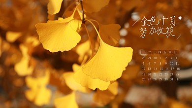 秋天十月黄叶景色摄影风电脑桌面