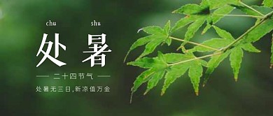处暑节气简约绿色植物公众号封面首图