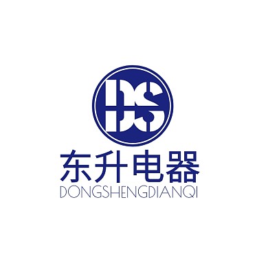 DS字母大气蓝色电商LOGO