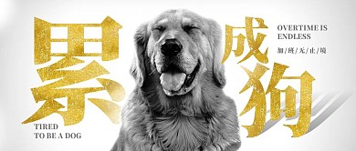 图怪兽原创元素金毛狗黑白简约公众号首图psd首图PSD 