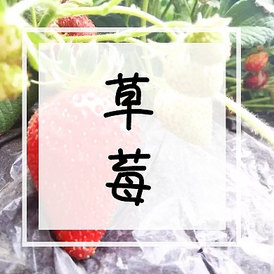 可爱草莓公众号封面小图