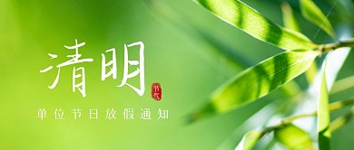 摄影简约绿色竹叶清明假期放假通知首图