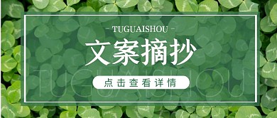 唯美小清新文案写作绿色公众号封面