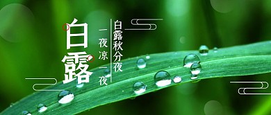 白露节气绿色摄影简约唯美公众号封面首图