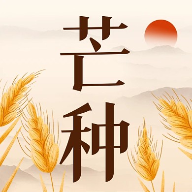 芒种传统节日祝福麦穗公众号封面次图