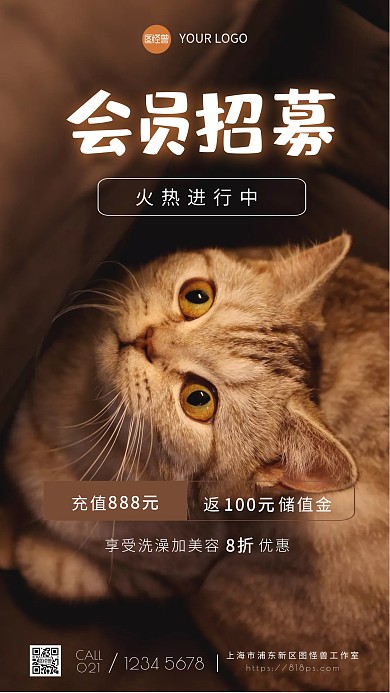 宠物会员招募火热进行中棕色摄影图海报