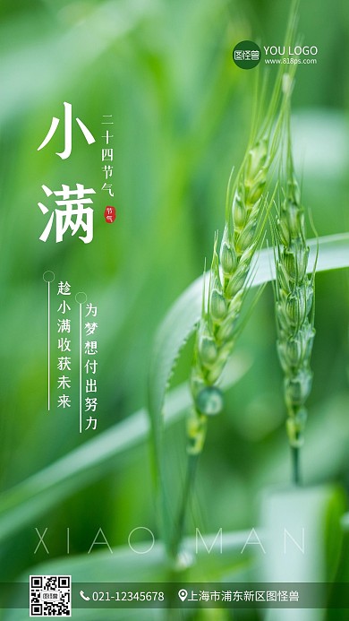 简约大气小满生活服务摄影图手机海报