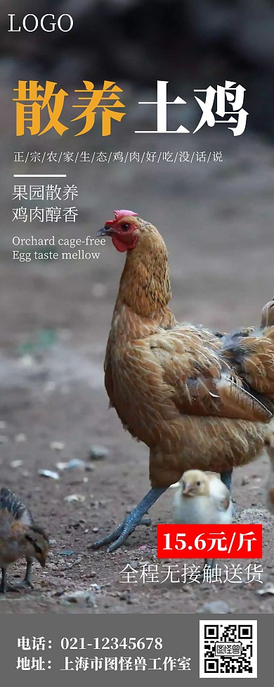 时尚大气创意散养土鸡易拉宝 