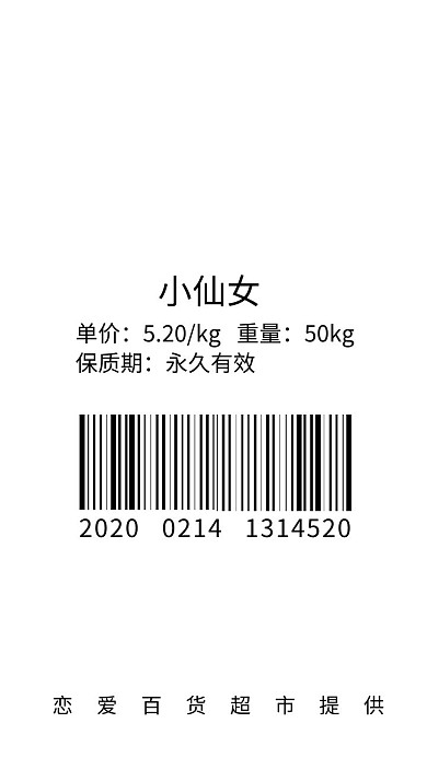 2020新年趣味网络热词小仙女手机壁纸