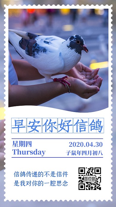 信鸽早安日签打卡朋友圈