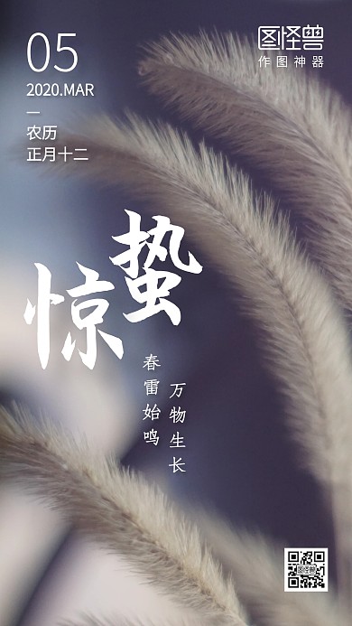 简约大气惊蛰传统节气日签
