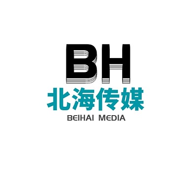 公司北海传媒黑色logo设计