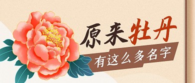 牡丹名字简约彩色微信公众号首图