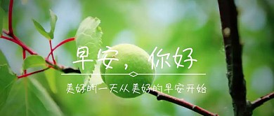 你好早安公众号封面