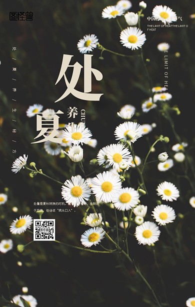 大气处暑养生手机海报