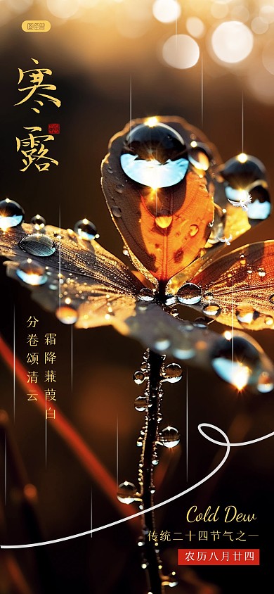 寒露节日节气温馨祝福全屏海报