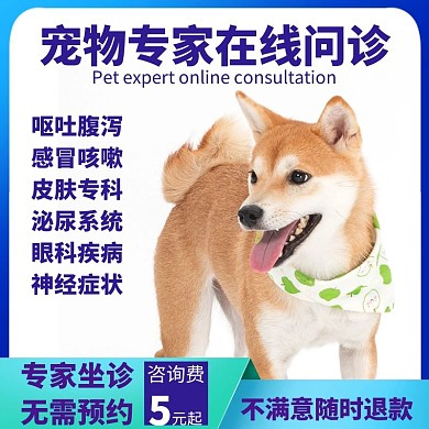 宠物专家在线问诊猫犬宠物医生