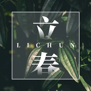 立春节气清新摄影树叶公众号封面次图