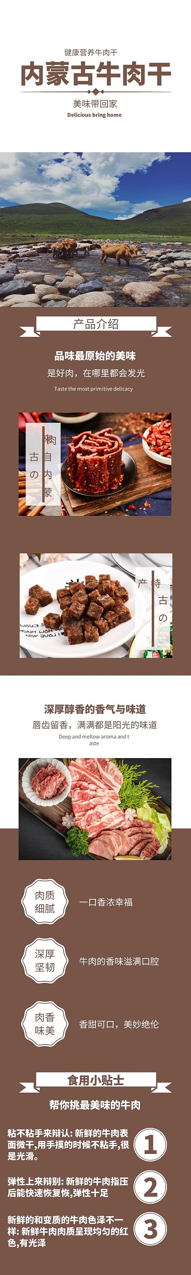 内蒙古特产牛肉干褐色简约详情页