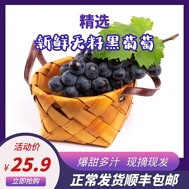 葡萄紫色简约时尚主图直通车
