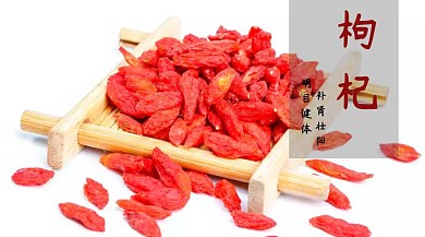 枸杞