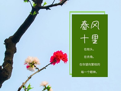 简约春天公众号配图