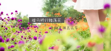 春天美景森林花丛公众号特殊首图