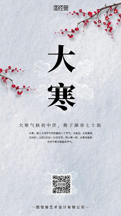商业海报广告传媒背景大寒节气简约白色雪
