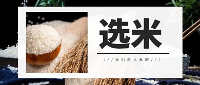 简约照片米类宣传公众号封面
