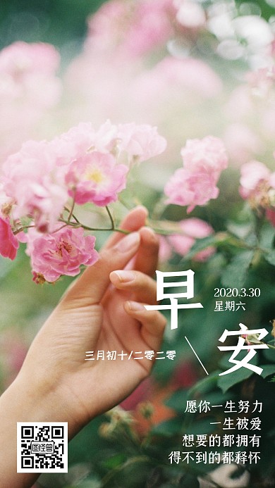 2020春天花开阳光生机日常日签