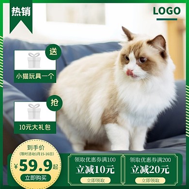混合猫砂日用品促销价绿色大气主图直通车