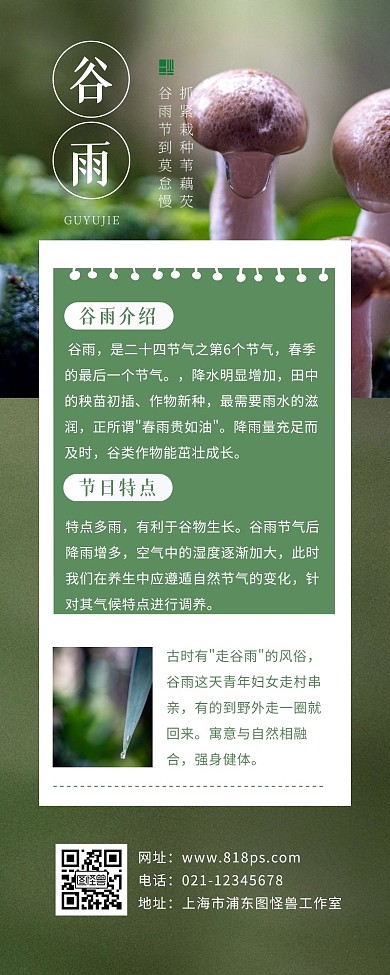 谷雨节气介绍大气简约营销长图