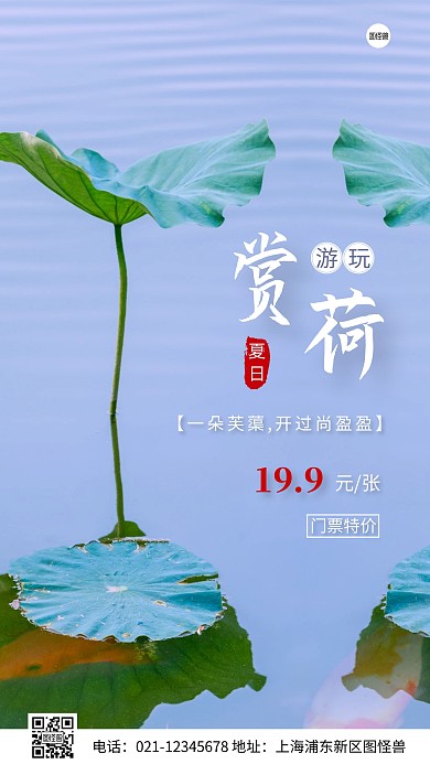 简约风夏日赏荷特惠摄影图海报