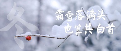 冬红包封面
