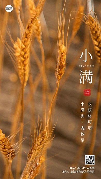 简约风小满节气麦秋至摄影图海报